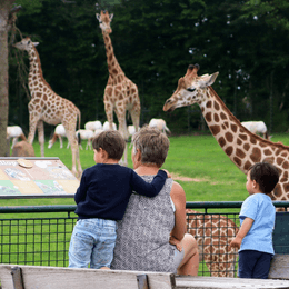 Få 10-20 % rabat på entrébilletter til Aalborg ZOO